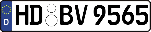 HD-BV9565