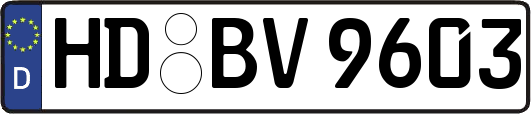 HD-BV9603