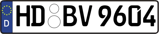 HD-BV9604