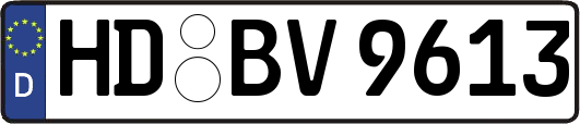 HD-BV9613