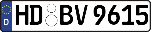 HD-BV9615