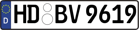 HD-BV9619