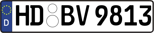HD-BV9813
