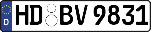 HD-BV9831