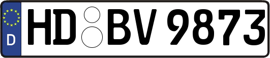 HD-BV9873
