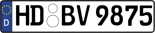 HD-BV9875