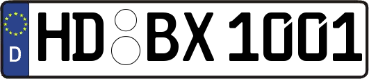 HD-BX1001