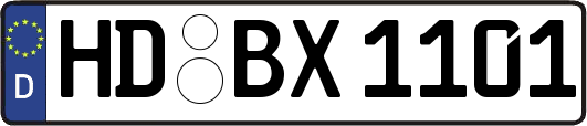 HD-BX1101