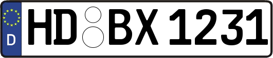 HD-BX1231