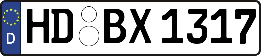 HD-BX1317