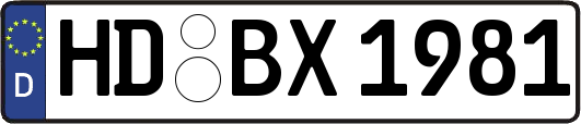 HD-BX1981