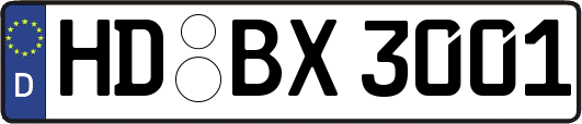 HD-BX3001