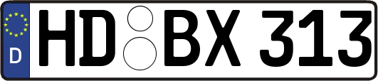 HD-BX313