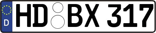 HD-BX317