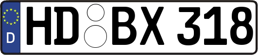 HD-BX318