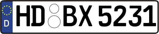 HD-BX5231