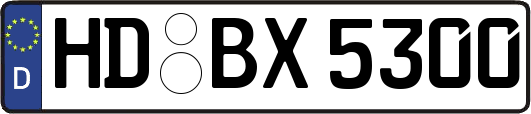 HD-BX5300