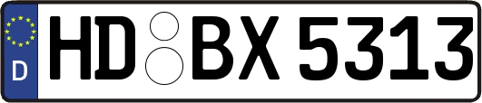 HD-BX5313