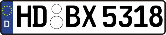 HD-BX5318