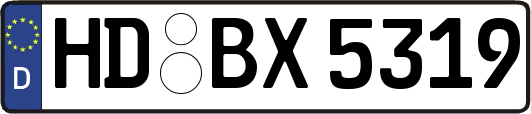 HD-BX5319