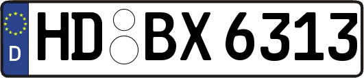 HD-BX6313