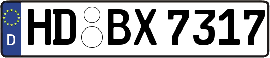 HD-BX7317
