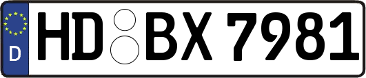 HD-BX7981
