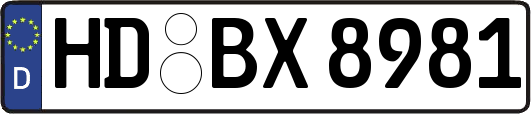 HD-BX8981