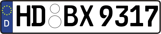 HD-BX9317