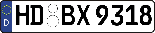 HD-BX9318