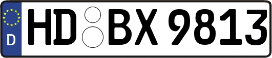 HD-BX9813