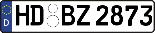 HD-BZ2873