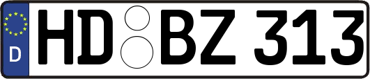 HD-BZ313