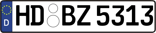 HD-BZ5313