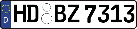 HD-BZ7313