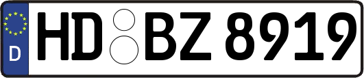 HD-BZ8919