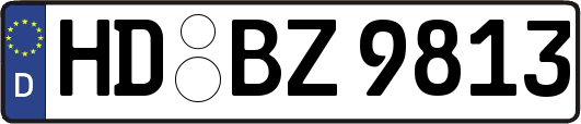 HD-BZ9813