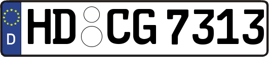 HD-CG7313