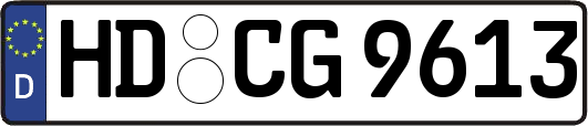 HD-CG9613