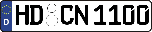 HD-CN1100