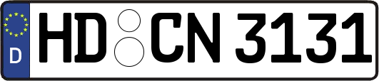 HD-CN3131