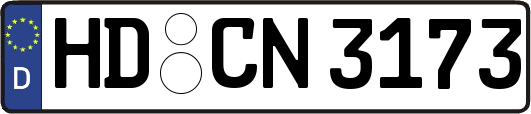 HD-CN3173
