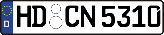 HD-CN5310