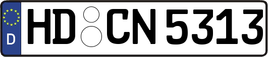 HD-CN5313
