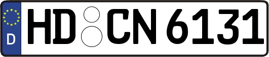HD-CN6131