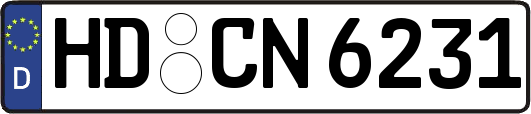HD-CN6231
