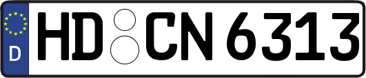 HD-CN6313