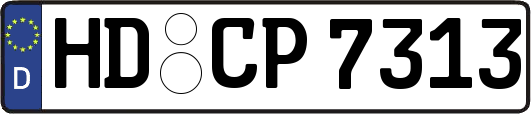HD-CP7313