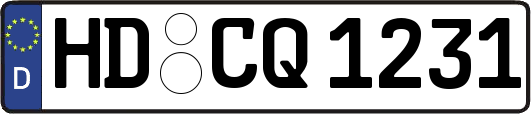 HD-CQ1231