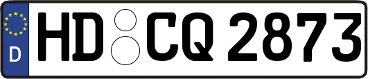 HD-CQ2873